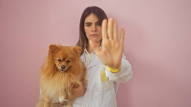 Genç bir İspanyol kadın, Pomeranian köpeğini pembe izole bir arka planda tutuyor, elleriyle işaret ediyor..
