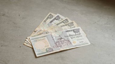 Mısır 'ın beton yüzey üzerindeki banknotları, para birimine odaklanarak, ekonomik konuları somut bir biçimde resmeden, Mısır' daki finansal temaları betimlemektedir..