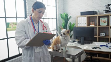 Veteriner bir kadın veteriner, veteriner kliniğinde muayene masasında bir chihuahua köpeğiyle not alıyor..