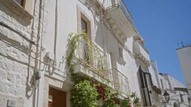 Locorotondo, puglia 'da pitoresk bir cadde, beyaz taş binalar, yeşil süslemeli balkonlar ve berrak mavi gökyüzünün altında canlı çiçekler..