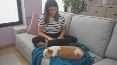 Genç bir kadın, rahat bir oturma odasında uyuyan Chihuahua 'sının yanındaki kanepede dizüstü bilgisayarda çalışıyor..