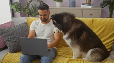 Sakallı İspanyol adam dizüstü bilgisayar kullanıyor. Yumuşak tüylü Husky de oturma odasına bakıyor..