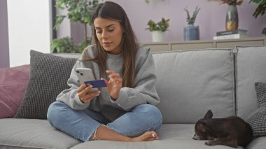 Modern oturma odasında akıllı telefonlu ve chihuahua 'lı İspanyol kadın.