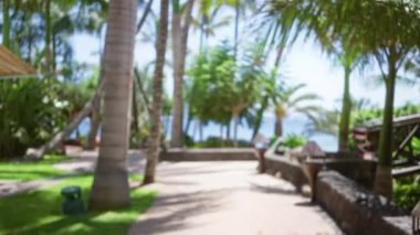 Arka planda palmiye ağaçları ve okyanus manzaralı bulanık tropik tatil beldesi, dingin ve odaksız bir tatil ortamını vurguluyor.