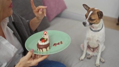 Sarışın bir kadın oturma odasında oturmuş küçük bir köpeği tabakta tatlıyla besliyor..