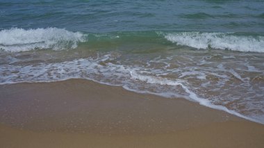 Sakin, doğal bir sahil sahnesi. Hafif dalgalar kumlu kıyıya vuruyor. Güneşli bir günde, deniz kenarının huzurlu özünü yakalıyor..