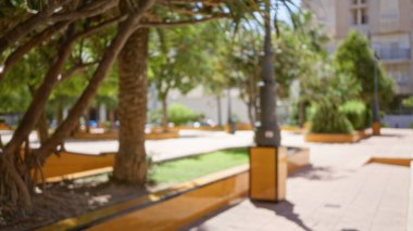 Ağaçları ve yeşilliği olan bulanık bir park görüntüsü. Parlak, güneşli bir ortamda odakları kesilmiş bir arka plan..