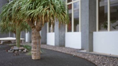 Lanzarote 'deki dış mekanın bulanık görüntüsü, ağaçların ve beton binanın bulanık manzarasına sahip İspanya