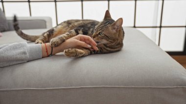 A woman lovingly interacts with her cat while relaxing in a cozy living room setting, showcasing the bond between a person and their pet indoors. clipart