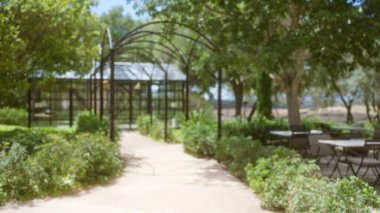 Mallorca 'daki bulanık açık hava sahnesinde arka planda çözünmüş pergola ve veranda sandalyeleri ile yemyeşil yeşillik yer alıyor.