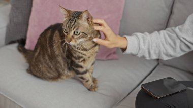 İspanyol bir kadın, rahat bir oturma odasında kedi yavrusunu nazikçe okşuyor, bir apartman dairesinde sakin bir ev ortamı sergiliyor..