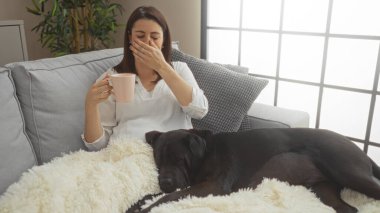 Genç bir İspanyol kadın labrador köpeğiyle kanepede dinleniyor, esnerken kahve içiyor..