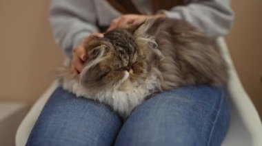 Kadın, veteriner kliniğinin bekleme odasında otururken, kucağında yumuşacık bir kediyi okşuyor..