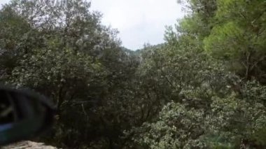 Bereketli yeşil meşe ağaçları, bir araba penceresinden görülebilen, Mallorca 'nın dağlık ve manzaralı manzarasında 