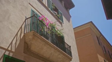 Palma, Mallorca 'da, açık mavi gökyüzünün altında yeşil kepenkleri olan geleneksel bir binada çiçek açan balkon.