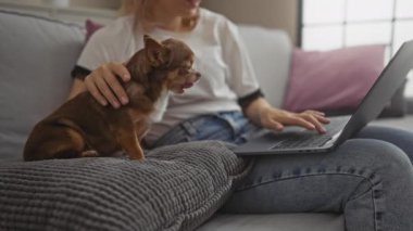 Oturma odasında dizüstü bilgisayarda çalışan genç bir kadın, yanında Chihuahua köpeği ile oturuyor, rahat ve üretken bir ev ortamı yaratıyor..