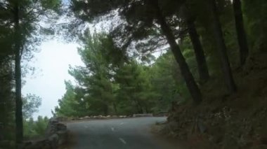 Yoğun ağaçlar ve bulutlu gökyüzünün altında yeşil ormanlarla çevrili kıvrımlı bir yol.