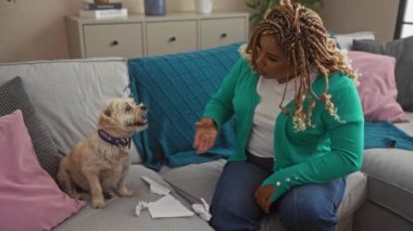 Saçları örgülü genç bir Afrikalı Amerikalı kadın, rahat bir oturma odasında gazeteleri yırttığı için köpeğini azarlıyor..