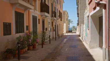 Palma 'da büyüleyici dar bir sokak, canlı saksı bitkileriyle Mallorca, Akdeniz mimarisi, ve arka planda açık deniz manzarası.