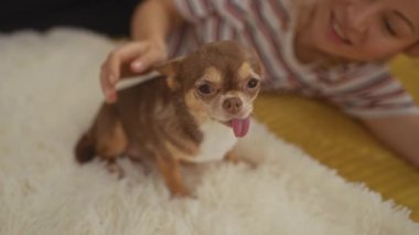 Genç sarışın bir kadın, sevimli köpeğini rahat bir yatak odasında, tüylü beyaz bir yatakta okşuyor..