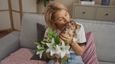 Genç sarışın bir kadın sıcak bir oturma odasında otururken Chihuahua 'sını ve beyaz zambak buketini sevgiyle tutuyor..