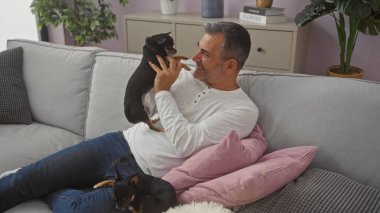 Orta yaşlı İspanyol bir adam sıcak bir oturma odasında iki Chihuahua köpeğiyle rahatlıyor..