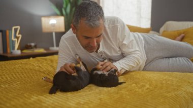 Orta yaşlı İspanyol bir adam rahat bir yatak odasında bir yatakta uzanıyor ve iki Chihuahua köpeğiyle içeride oynuyor..
