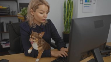 Genç sarışın bir kadın masasında çalışıyor. Dedektiflik bürosunda. Yanında da kapalı bir iş yerinde Chihuahua köpeği var..