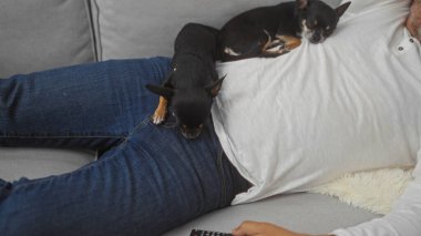 Orta yaşlı İspanyol bir adam oturma odasındaki kanepede dinleniyor. Kucağında ve göğsünde iki chihuahua dinleniyor..