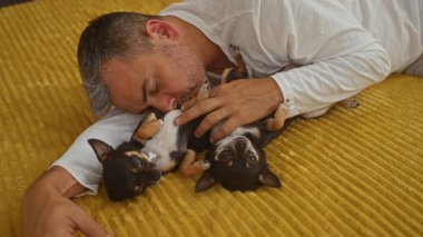 Orta yaşlı bir adam rahat bir yatak odasında iki küçük chihuahuaya ile sarılıyor..