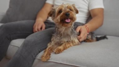 Beyaz tişörtlü bir adam, kapalı bir yerdeki gri bir koltukta küçük köpeğiyle rahat bir oturma odasında oturuyor..