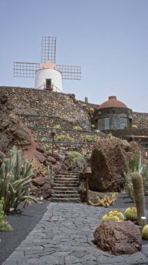 Lanzarote 'deki ünlü kaktüs bahçesinin gün ışığında güzel bir kaktüs bahçesinin açık hava manzarası, kanarya adaları, dikkate değer beyaz yel değirmeni ve kırsal taştan merdiven..