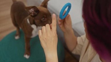 Genç bir kadın sıcak bir ev ortamında evcil hayvan ve ev sahibi arasındaki bağın altını çizerek, rahat bir oturma odasında mavi bir oyuncak kullanarak köpeğiyle etkileşime giriyor..