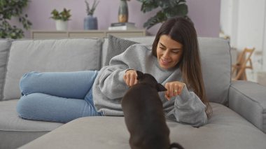 Genç bir İspanyol kadın sıcak bir oturma odasındaki rahat bir kanepede Chihuahua köpeğiyle güzel vakit geçiriyor.