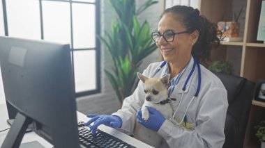 Gülümseyen İspanyol bir veteriner, veteriner kliniğinde Chihuahua köpeği tutuyor..