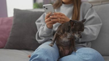 Evde kucağında chihuahua 'sıyla akıllı telefon kullanan genç bir İspanyol kadın..