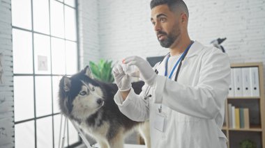 Genç bir İspanyol veteriner, parlak bir klinikte bir Husky 'yi muayene ediyor. Bakım, sağlık ve profesyonellik gösteriyor..