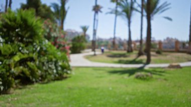 Odaklanamayan fotoğraf, yemyeşil çimlerle, çiçek açan çiçeklerle ve arka planda palmiye ağaçlarıyla dolu güneşli bir parkı gösteriyor, rahatlatıcı bir açık hava ortamı yaratıyor..