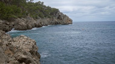 Çam ağaçlarıyla kayalık kıyı şeridi ve Cala Deia 'da sakin mavi sular, bulutlu bir gökyüzünün altında mallorca.