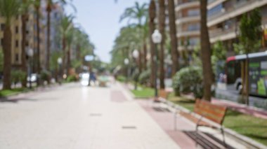 Palmiye ağaçları, binalar ve bankların bulanık manzaralı şehir caddesi güneşli bir günde buzları çözülmüş bir şehir manzarası sergiliyor..