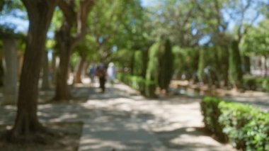 Güneşli bir günde, arka planda bulanık insan figürleriyle dolu, ağaçlar ve çalılarla kaplı açık bir yolun odaksız görüntüsü.