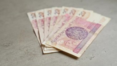 Polonya 'nın 20 zloti para biriminin banknotları gri beton bir yüzey üzerinde yelpazelenmiş bir düzenleme içinde, Polonya' daki mali işlemleri ve ekonomiyi gösteriyor.