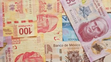Çeşitli banknotlardaki Meksika banknotları, tarihsel figürler ve kültürel tasarımların yer aldığı renkli bir dizi gösteriyor..