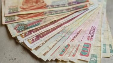 Mısır banknotları beton bir yüzey üzerine dizilmiş Mısır sterlinlerinin çeşitli değerlerini sergiliyor.