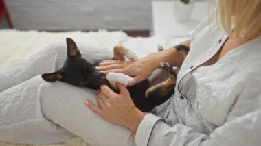 Yatak odasında küçük bir chihuahua köpeğini okşayan bir kadın samimi ve sıcak bir ev ortamı sergiliyor..