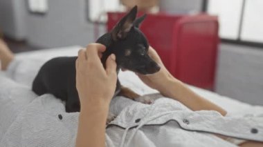 Yatakta uzanmış, parlak yatak odasında Chihuahua köpeği besleyen bir kadın.