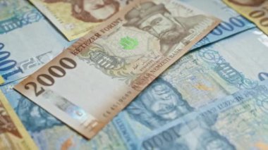 Macar forint banknotları çeşitli mezhepler ve detaylı tarihsel figürler sergilenen bir yüzeye saçıldı.