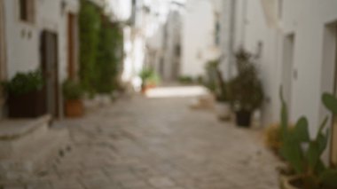 Locorotondo, puglia, İtalya, Avrupa, sergilenen kaldırım taşları, beyazlatılmış binalar, bitkiler ve sakin bir köy atmosferi..