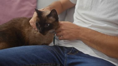 Bir adam kucağında bir siyam kedisini kucağında okşuyor, ev sakinliği ve arkadaşlık hissi uyandırıyor..