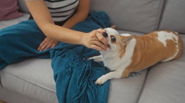 Kadınlar sıcak bir oturma odasında kanepede chihuahua yer..